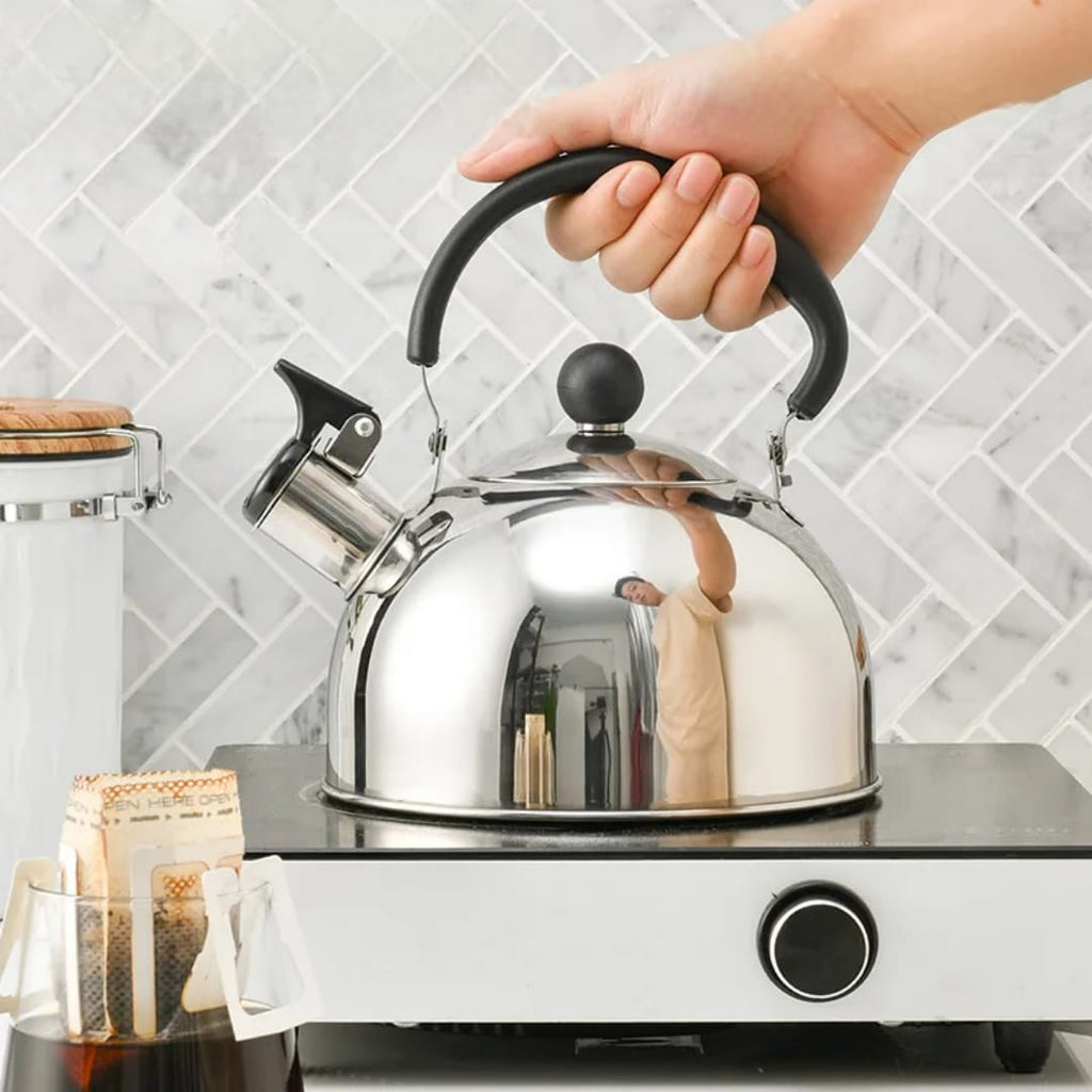 Stovetop stylish, modern whistling kettle